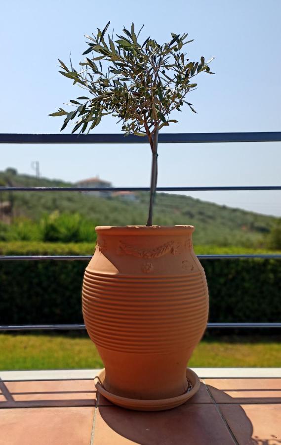 Cozy Small Smart Villa With Private Pool Mikri Mantineia Kalamata Luaran gambar